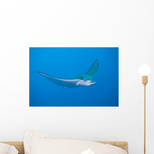 Eagle Ray Wall Mural