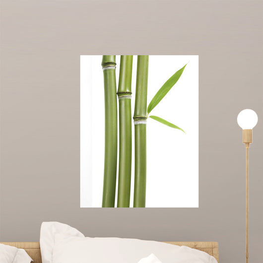 Bamboo Leaves and Stalks