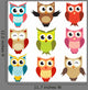 set of owls Wall Decal