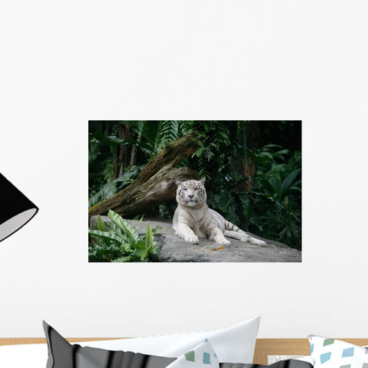 White Tiger