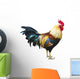 Wild Rooster