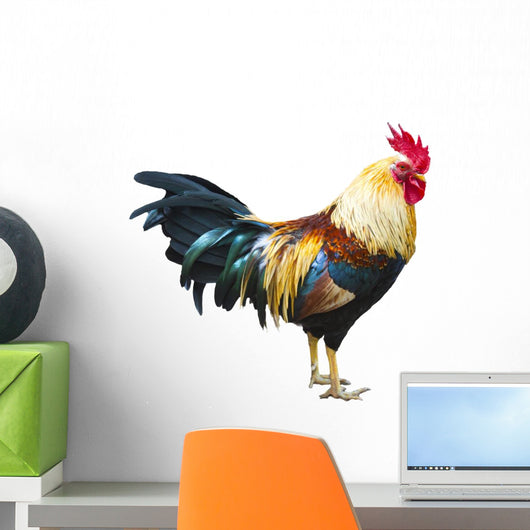 Wild Rooster