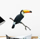 Toucan isolated on white Wall Decal