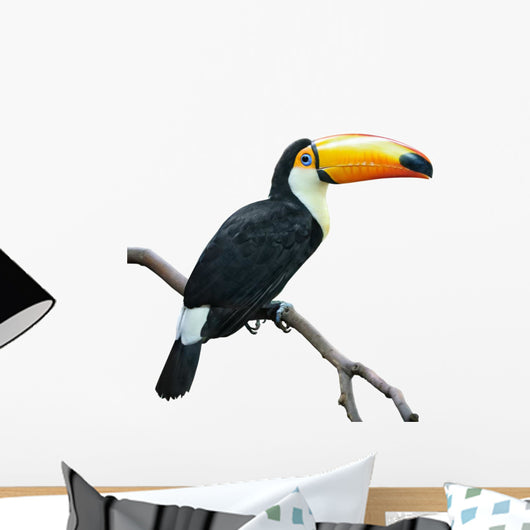 Toucan isolated on white Wall Decal