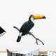 Toucan isolated on white Wall Decal