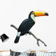 Toucan isolated on white Wall Decal