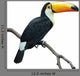 Toucan isolated on white Wall Decal