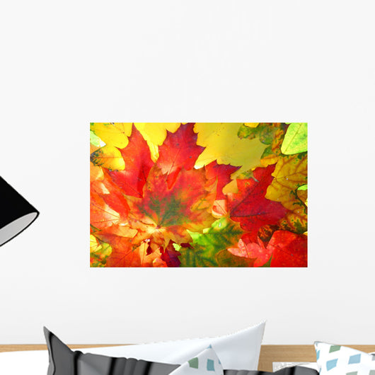 Autumn Fall Leaves