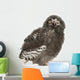 Snowy Owl Chick Bubo Wall Decal