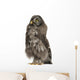 Great Grey Owl or Wall Decal