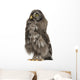 Great Grey Owl or Wall Decal