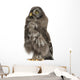 Great Grey Owl or Wall Decal