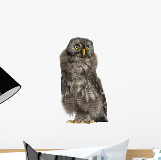 Great Grey Owl or Wall Decal