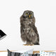Great Grey Owl or Wall Decal