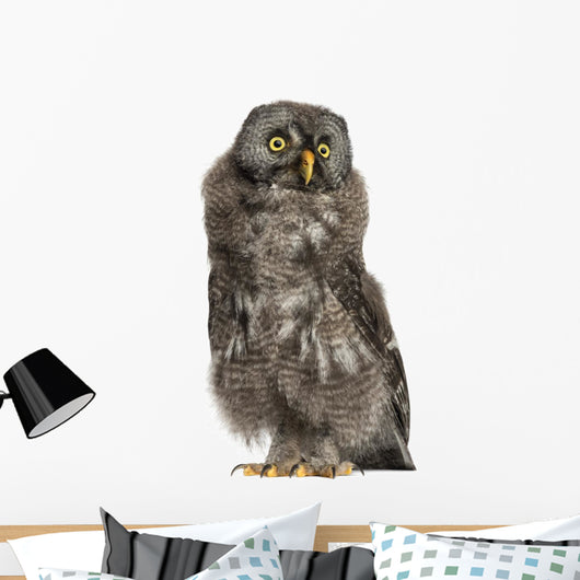 Great Grey Owl or Wall Decal