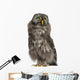 Great Grey Owl or Wall Decal