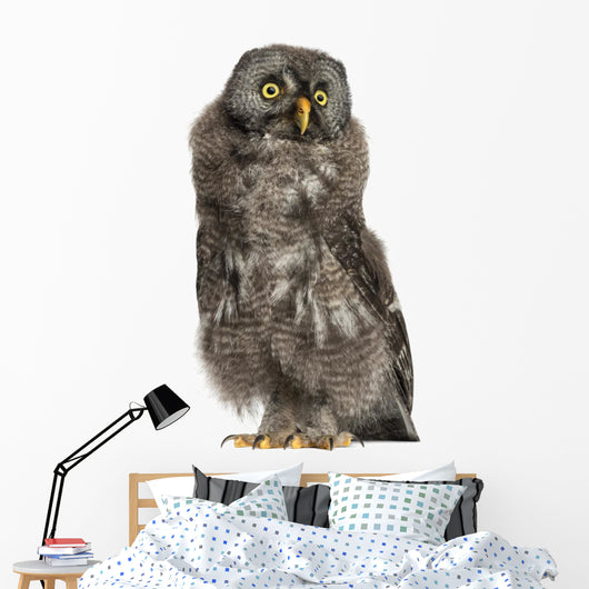 Great Grey Owl or Wall Decal