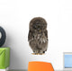 Great Grey Owl or Wall Decal