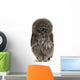 Great Grey Owl or Wall Decal