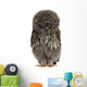 Great Grey Owl or Wall Decal