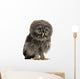 Great Grey Owl Wall Decal
