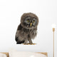 Great Grey Owl Wall Decal