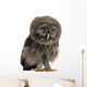 Great Grey Owl Wall Decal