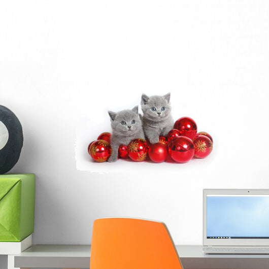 Two Kittens with Christmas