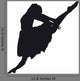 Ballerina Silhouette White