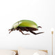 Green Beetle Species Anomala Wall Decal