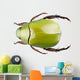 Green Beetle Species Anomala Wall Decal