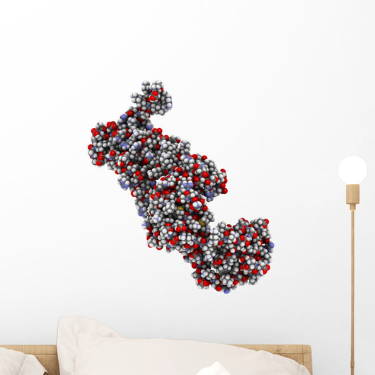 Cardiac Troponin Core Domain Wall Decal