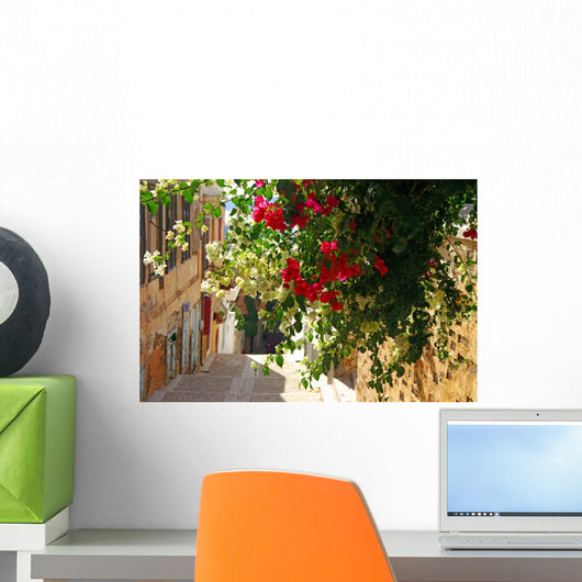 Bougainvillea