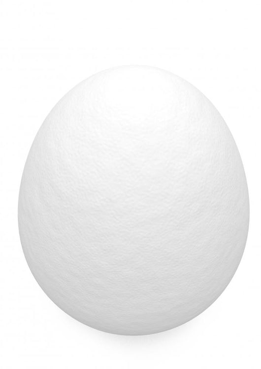 White Egg Wall Decal