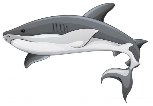 Generic Shark Illustration Wall Decal