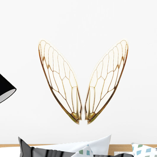 pairs of cicada wings Wall Decal