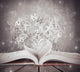 Love for Book