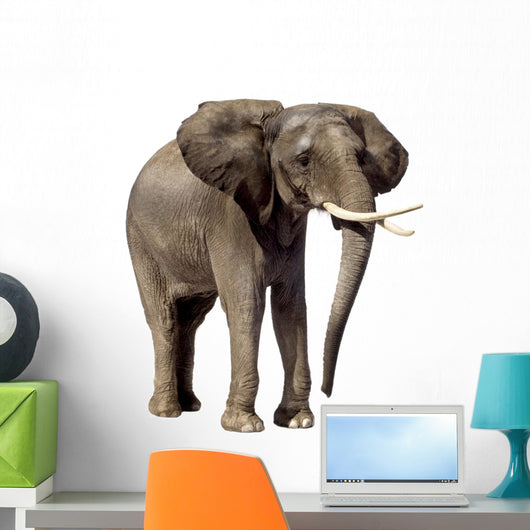 elephant Wall Decal