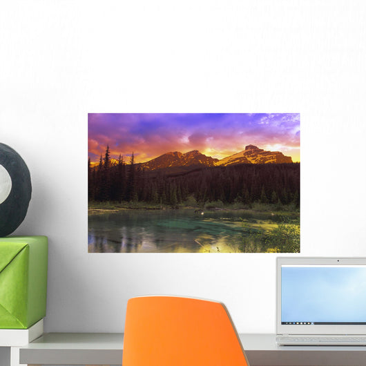 Small Mountain Lake With Submerged Logs Wall Mural