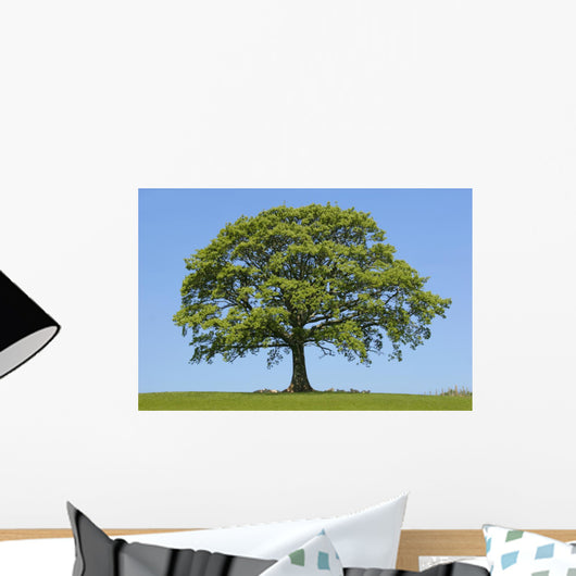 Oak Shelter
