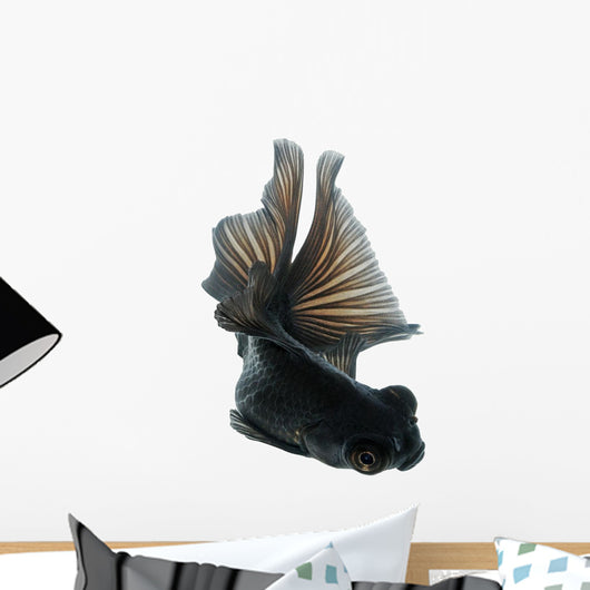 Black Goldfish White without Wall Mural