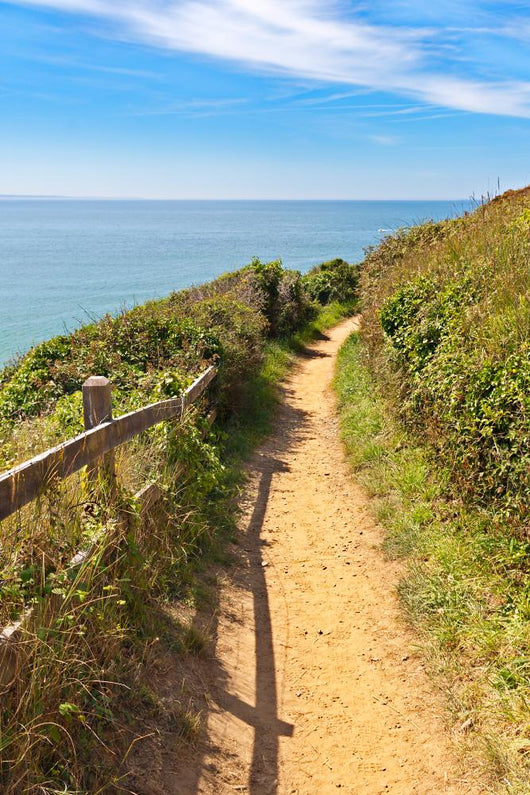 Path along Coastline Carteret Wall Mural