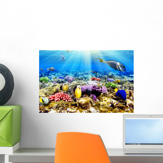Coral and Fish Red Wall Mural