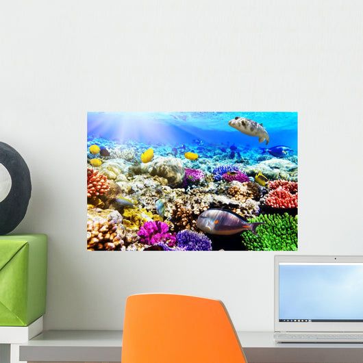Coral and Fish Red