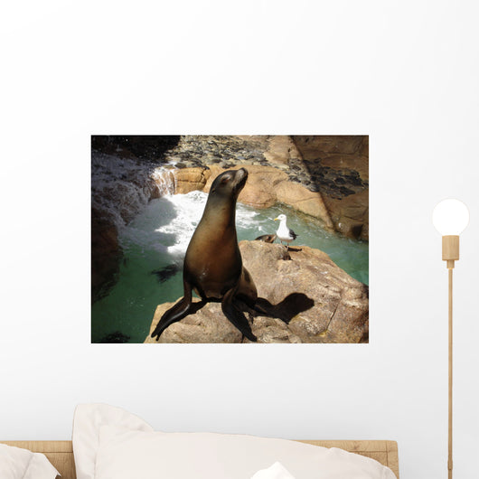Sea lion with seagull in Seaworld in San Diego while sunbathing Wall Mural