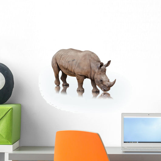 Portrait Rhinoceros White