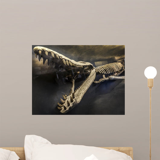 Fossil Wall Decal