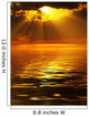 Solar beams Wall Mural