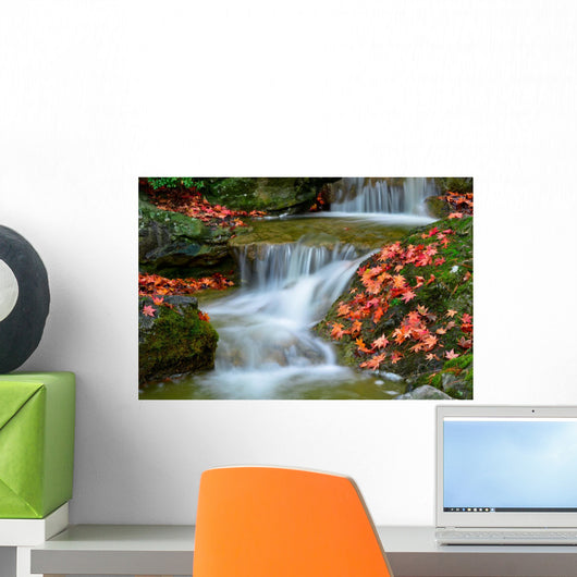 Brook Autumn
