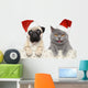 Dog and Cat Red
